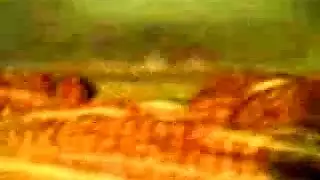 بورن عربي غير منقطع: حفلة نيك كاملة الطول