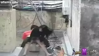 تنط علي زبه