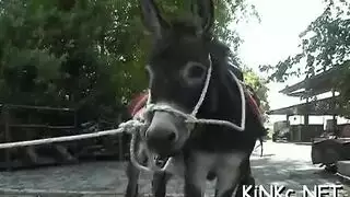 سكس نيك الخالى اناءما