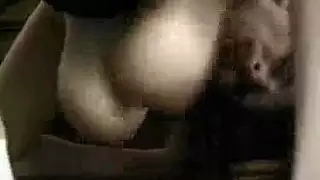 شب هوا وصحبوا يتيكوا اختوا