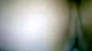 حمولة الغسيل: أخذها من الخلف مع ألعاب الحيوانات