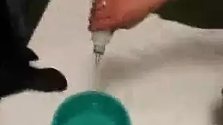 افلام اكس مكسيك