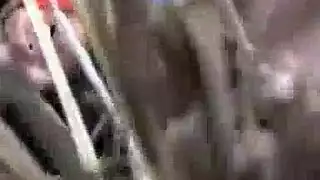 مهرجان جنسي عام: أربع نساء مثيرة يجربن كل خيالاتهن