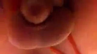 داني لي
