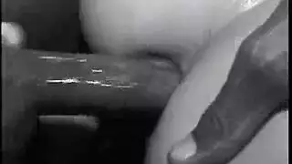 بارازيا