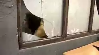 بقعة منعزلة لجنس وحشي: ضخ عنيف وأرجل في الهواء