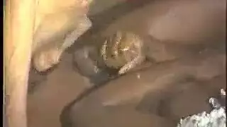 أول ظهور إكس إكس إكس: كسها مفتوح على مصراعيه ومكشوف