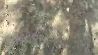 تحميل فيديو سكس سودني نيك في كس كامله