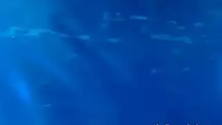 ماراثون عرض جنسي حار لماري تشوي