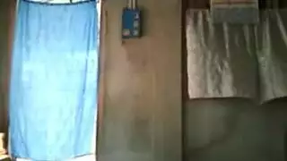 حمار موانئ دبي الأبواق