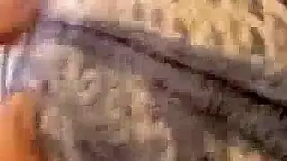 افلام سكس بيت دعاره