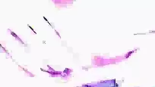 أبيض شرج الزوج