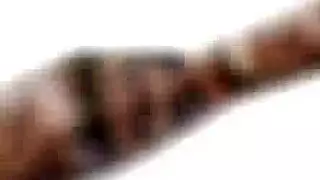 محمدمحى