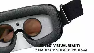ذنقها وناكها