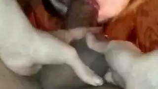 في سن المراهقة الحمام جينز