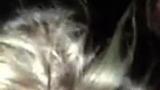بث إكس إكس إكس مجاني: مقاطع كيت الإباحية الفاضحة