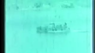 النجل جولين