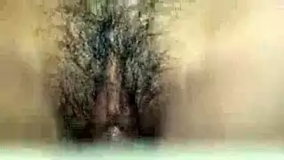 فعل شرجي بأرداف هائلة