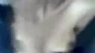 عاهرات بمؤخرات ضخمة يُملأ فرجهن