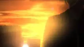 كلب بينيك مراه
