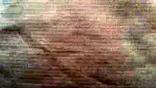 مجموعة أفلام إكس إكس إكس