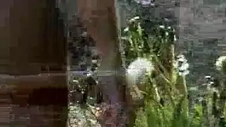 قريبات تستكشفن محتوى إباحي