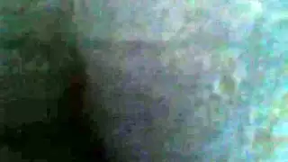 shemale on male: wild orgy porn