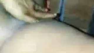البرلينية مزرعة هواة جبهة مورو