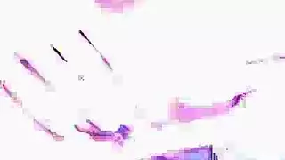 أنيق بلجيكي أثر قديم