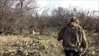 ليلة دخلو يهيج وي الرجل ويقذف