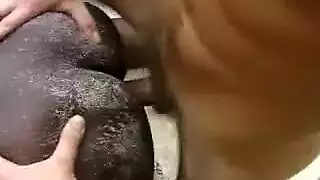 الممثلة السورية لوناالحسن