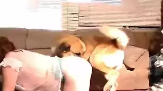 مشهد مع الحيوانات إكس إكس إكس: قضيب كلب يملأ فرج امرأة ناضجة مبلل
