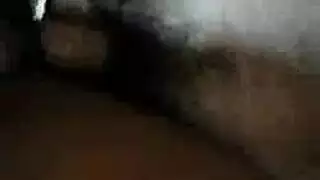 الرجيج تقبيل الديك الكبير