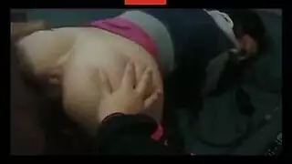 جماع الحيوان البري: غرائز التكاثر البدائية