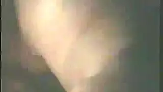 عاهرات توتي فروتي: شرجي ومهني أمريكي خالص