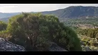 مؤخرة ساخنة لشرج عنيف