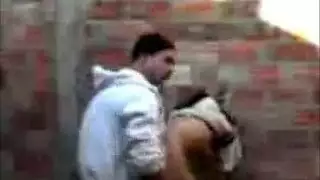 تجميعة حصرية لوحش جنس إباحي xxx لعاهرات عربيات