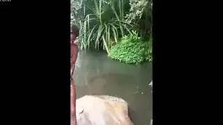 نساء أفريقيات عرايا على ضفاف النهر