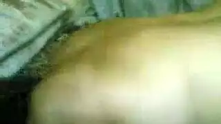 إبن يقفش بزاز أخته الكبيرة ينيكهل