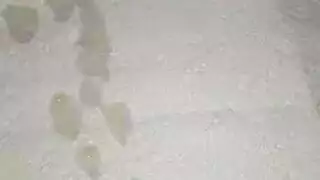 تلعب في كشها