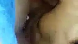 ثنائي المتلصصين يشاهد أحمقًا يستمني في خصوصية