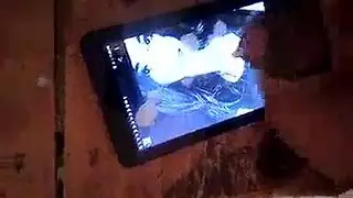 مطيع أسود يختبر