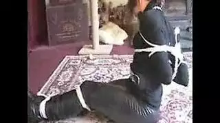 صورنيك في المشفئ