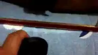 سكس مع الحيوانات: هيمنة جامحة على حمار