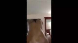 جنس جماعي إكس إكس إكس مع سيدات بنيات قرنيات على الأريكة