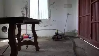 نياكت مسلمة