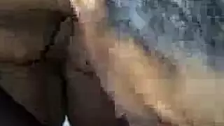 كس الوردي الهرة مكنسة كهرباء