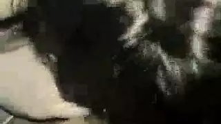 سكس ليالي علوى