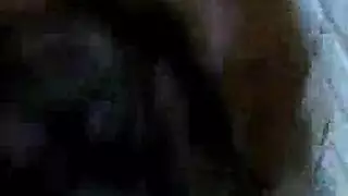 غيد