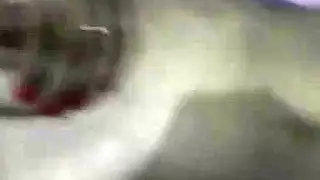 رجل يسافر الى الارجنتين بسبب المؤخرات